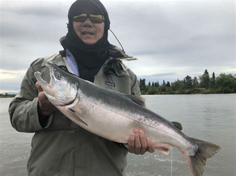 Blog By Alaska Fishing Lodge Anglers Alibi