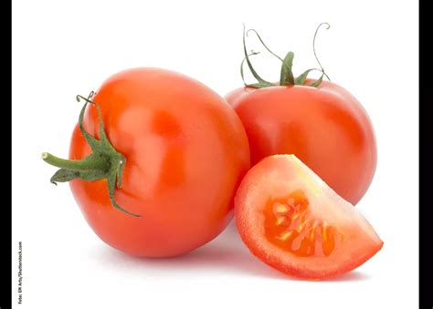 Veredelte Tomate Solanum Lycopersicum