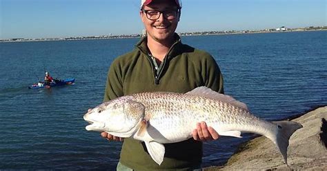 Bull Red Port Aransas Jetty Imgur