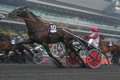 Izoard V Daquais Vise Le Prix De Paris Ce Dimanche Vincennes