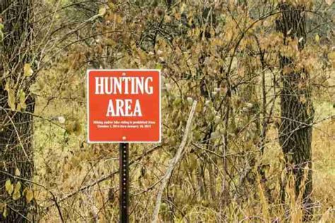 Safety First: 10 Essential Hunting Rules and Regulations • Hookers and ...