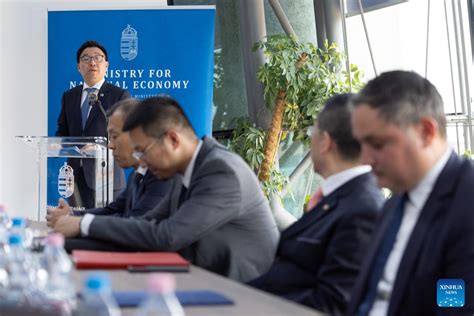 China's NIO announces strategic partnership with Hungarian university ...