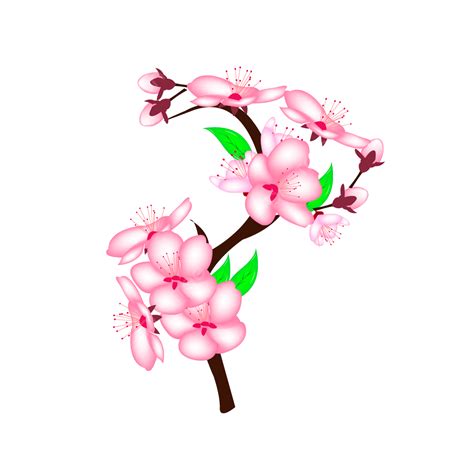 Cherry Blossom Card Vector Hd Png Images Cherry Blossom Soft Pink Design Soft Pink Design