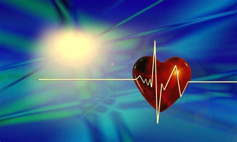 Kostenlose Heartbeat Pulse Und Herzschlag Bilder Pixabay