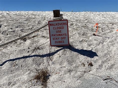 Pinellas County EMS Active Calls: A Crisis Brewing? Image 19