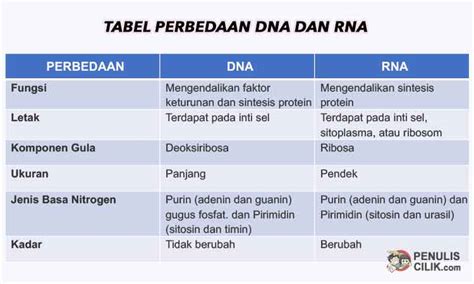 Tabel Perbedaan Dna Dan Rna