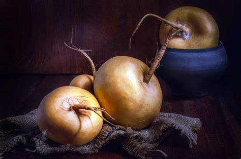 La Culture Du Navet Dans Votre Potager Semis Entretien Et Recettes