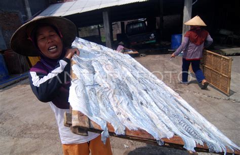 PENGOLAHAN KULIT IKAN UNTUK KERUPUK ANTARA Foto