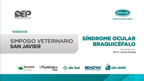 Simposio Veterinario San Javier S Ndrome Ocular Braquic Falo Youtube