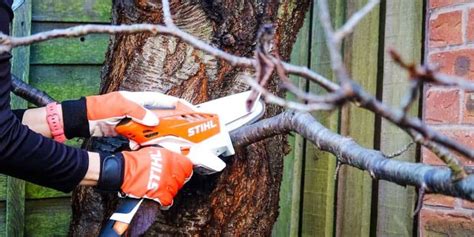 Motosierra Stihl Gta An Lisis Y Opiniones