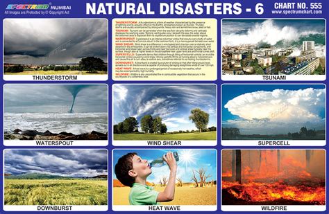 Natural Disasters Chart