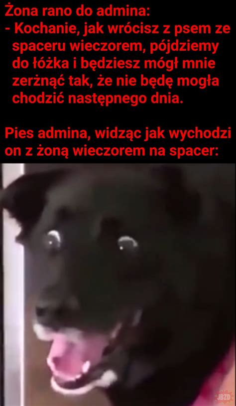 Tak To Si Wszystko Zacz O