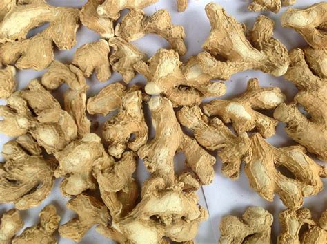Dried Ginger Manufacturer In Kerala India By Ann Impex House Of Spices