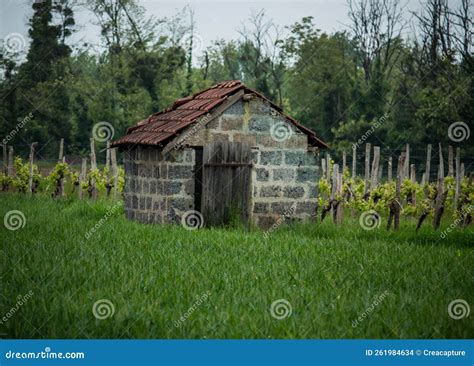 Tiny house stock photo. Image of house, barn, farm, building - 261984634
