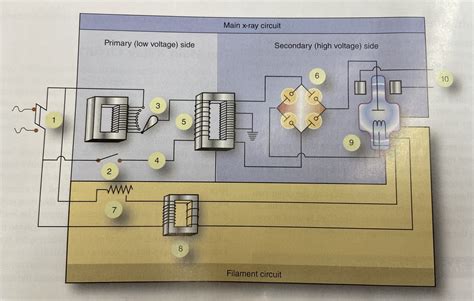 X Ray Circuit Labeling Diagram Quizlet