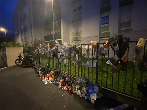 Actualités Meaux Seine-et-Marne 77 - Infos locales Meaux - Le Parisien