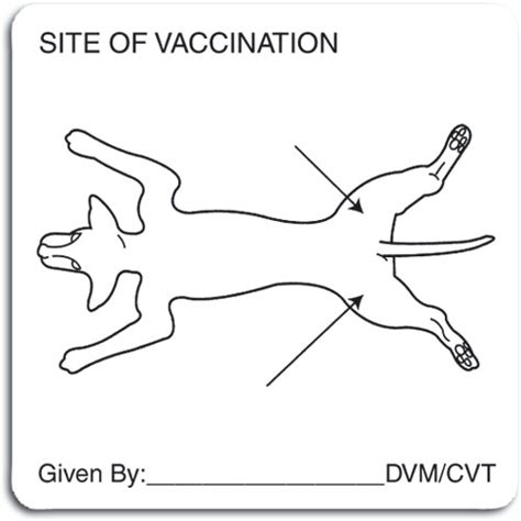 Canine Vaccine Injection Sites Diagram