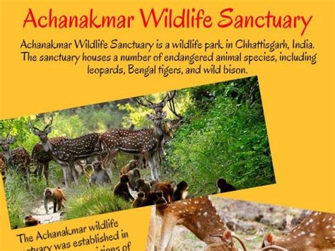 Achanakmar Wildlife Sanctuary