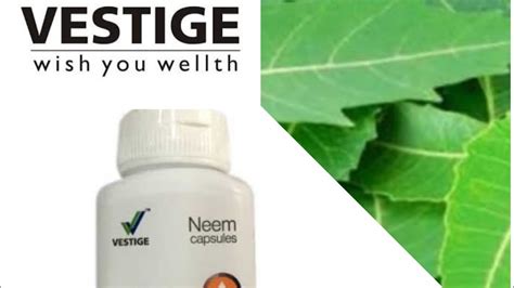 Vestige Neem Capsules Benefits Dosage Precautions Youtube