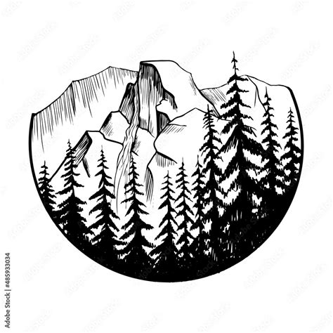 Vector Yosemite National Park And Falls In Califarnia Illustration