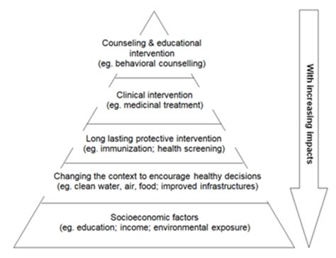 2 3 Social Determinants I And II Flashcards Quizlet