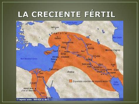 Patr N Rizado Zapatilla Creciente Fertil Mapa Beneficioso Ingenieria Puerto