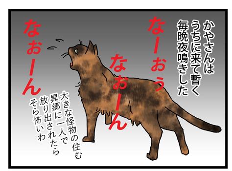 夜鳴き対応 保護猫かやさん～凛々しいサビ猫様と私～