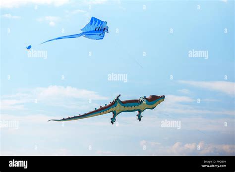 Air Crocodile Kite And Blue Kite Flying High In The Sky Kite Festival