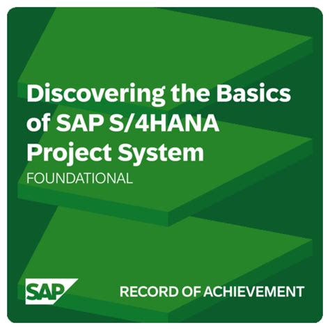 Discovering The Basics Of SAP S 4HANA Project System Record Of