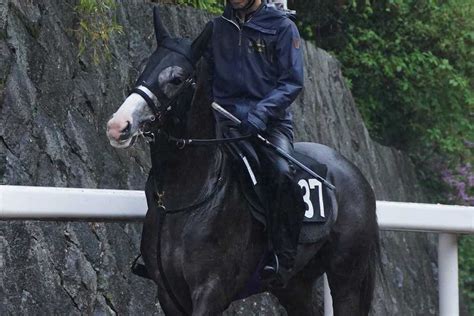 【京都新聞杯】母がオークス3着馬のアドマイヤテラ 友道師「前向きさ出てきた」｜競馬ニュース｜競馬予想のウマニティ