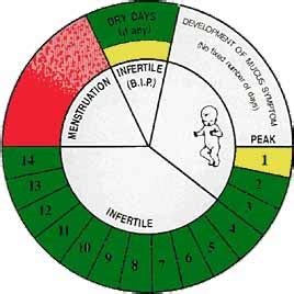 Natural Family Planning Calendar Method Chart - Ponasa