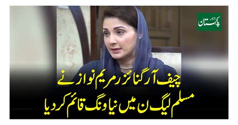 چیف آرگنائزر مریم نواز نے مسلم لیگ ن میں نیا ونگ قائم کردیا