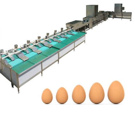 Full Automatic Egg Cleaning Grading Machine-Egg Processing Machinery ...