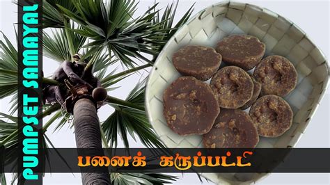 Making Of Panai Karupatti Palm Jaggery The Whole Process Youtube