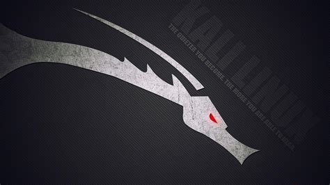 Kali Linux Wallpapers X Wallpaper Cave Images