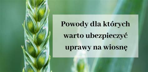 Powody Dla Kt Rych Warto Ubezpieczy Uprawy Na Wiosn Kalendarz Rolnik W