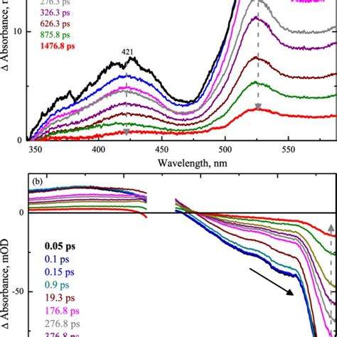 Femtosecond Transient Absorption Spectra Of Anphsq In Toluene Upon