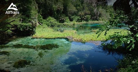 Best Trails In Rainbow Springs State Park Florida Alltrails