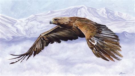 Eagle Art by edroeder on DeviantArt