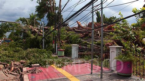 Pohon Tumbang Menimpa Jpo Dan Tiang Listrik Di Otista Foto Tempo Co