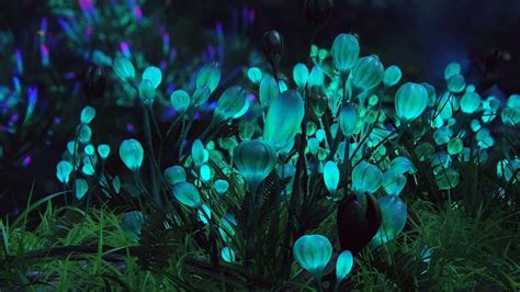 Download Bioluminescent Shrubs In The Movie Avatar Wallpaper | Wallpapers.com