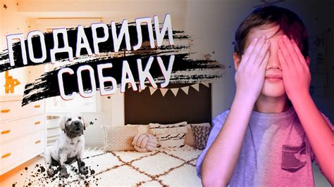 Подарили собаку. Реакция ребенка на щенка. - YouTube