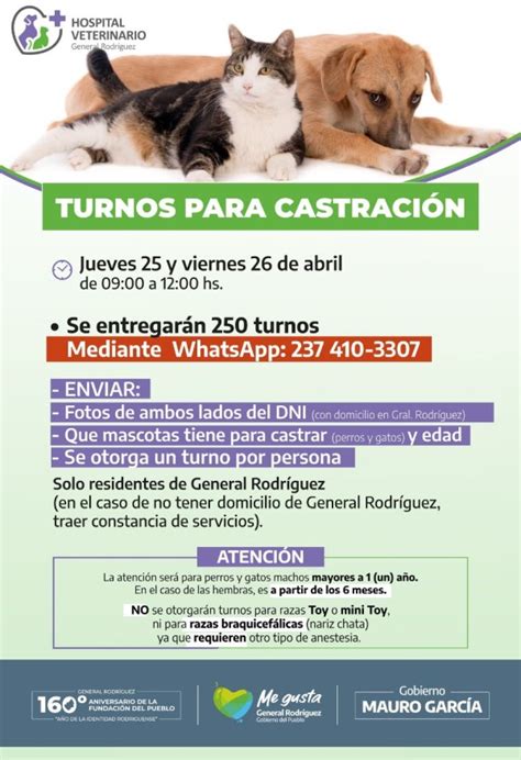 El Hospital Veterinario Entrega Turnos Para Castrar Perros Y Gatos