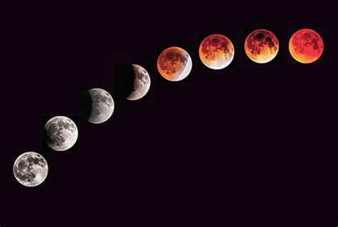 Super Blood Wolf Moon Eclipse Aaaoooooowwhhh Confluence Daily