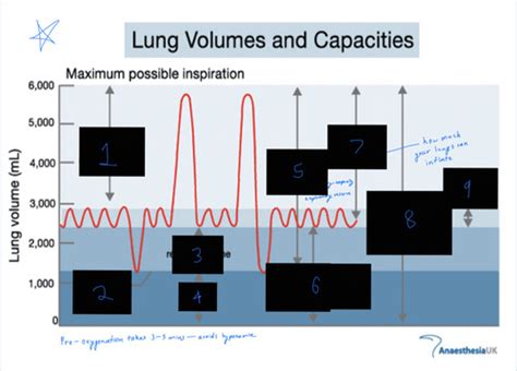 Mechanical Ventilation Flashcards Quizlet