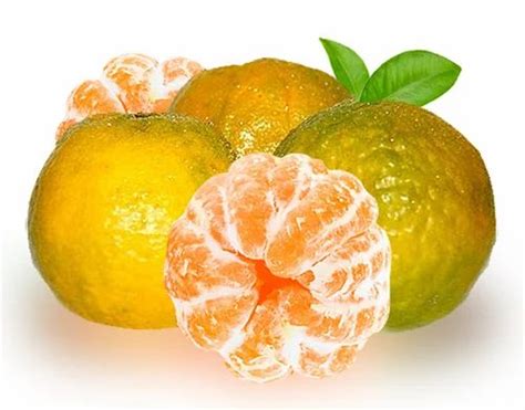 A Grade Organic Nagpur Orange, Packaging Size: 10 Kg, Packaging Type ...