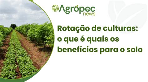 Rotação de culturas o que é quais os benefícios para o solo AgropecNews