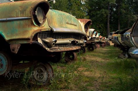 Old Cars At A Wrecking Yard In Northwestern Washington Kyler L