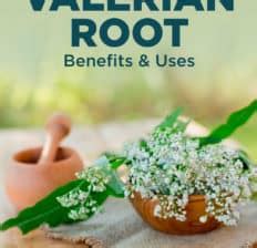 Valerian Root Benefits Uses Dosage And Side Effects Dr Axe