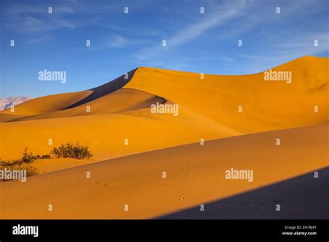 The Soft Curves Of Sand Dunes Stock Photo Alamy